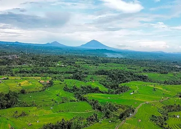 Bhuana Agung And Restaurant Jatiluwih 4* アンスリ
