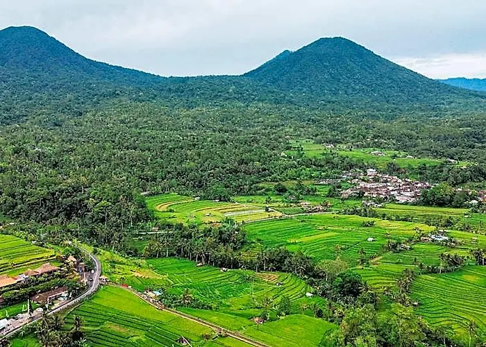 Hotel Bhuana Agung And Restaurant Jatiluwih 4*