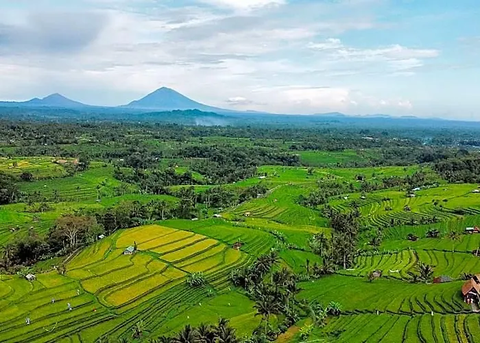 Bhuana Agung And Restaurant Jatiluwih فندق