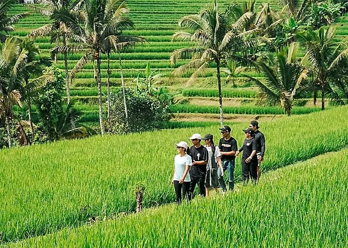 Bhuana Agung And Restaurant Jatiluwih アンスリ